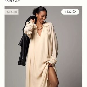 Anthropologie Long-Sleeve Sheer Pleated Dress